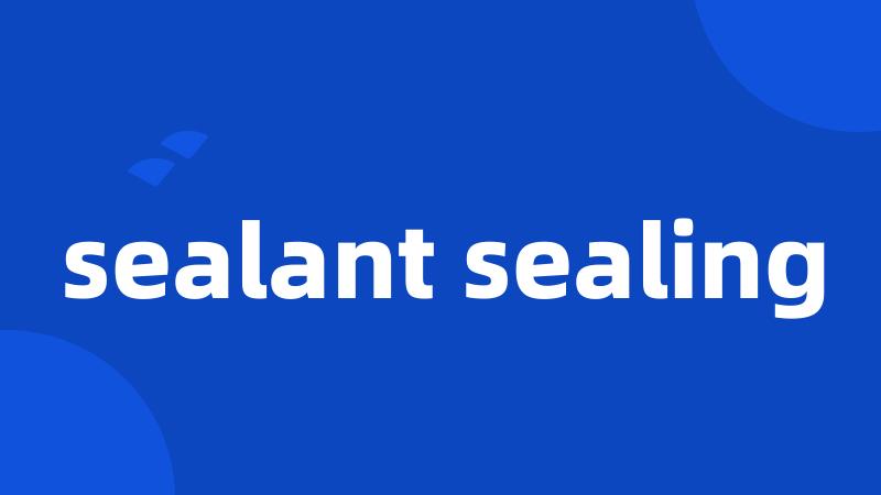 sealant sealing