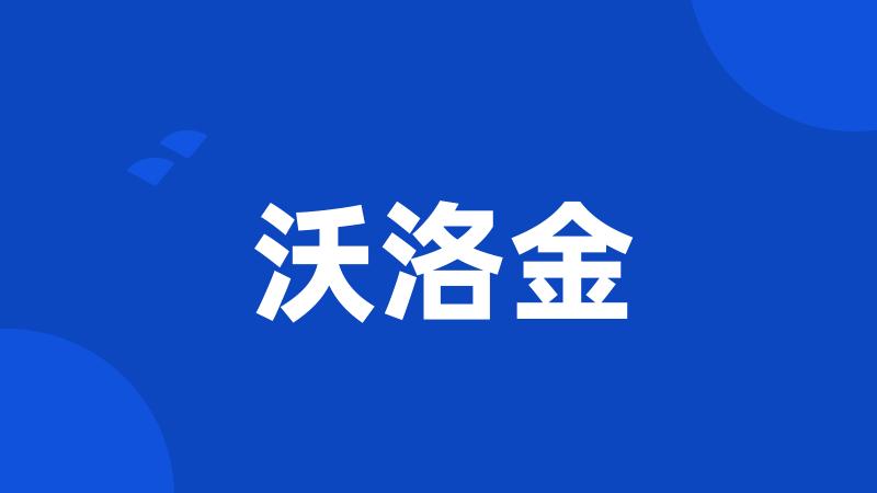 沃洛金