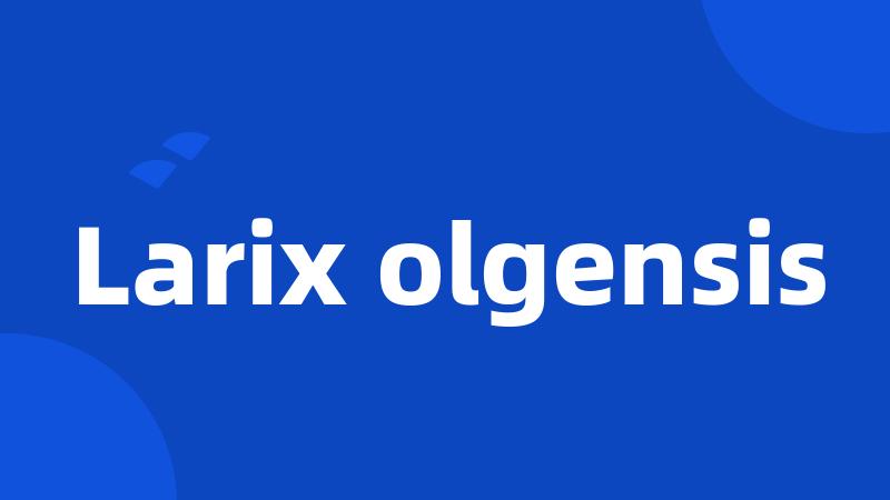 Larix olgensis