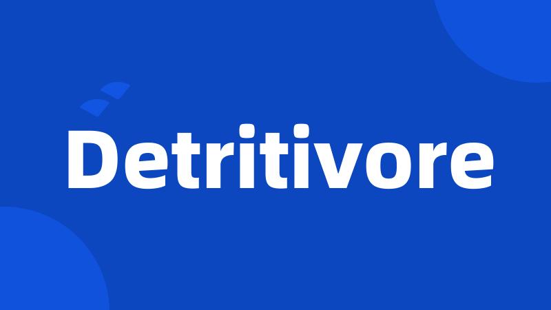 Detritivore