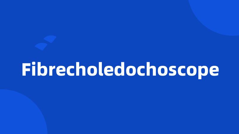 Fibrecholedochoscope