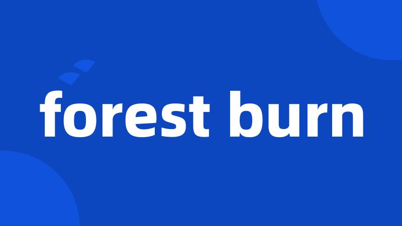 forest burn