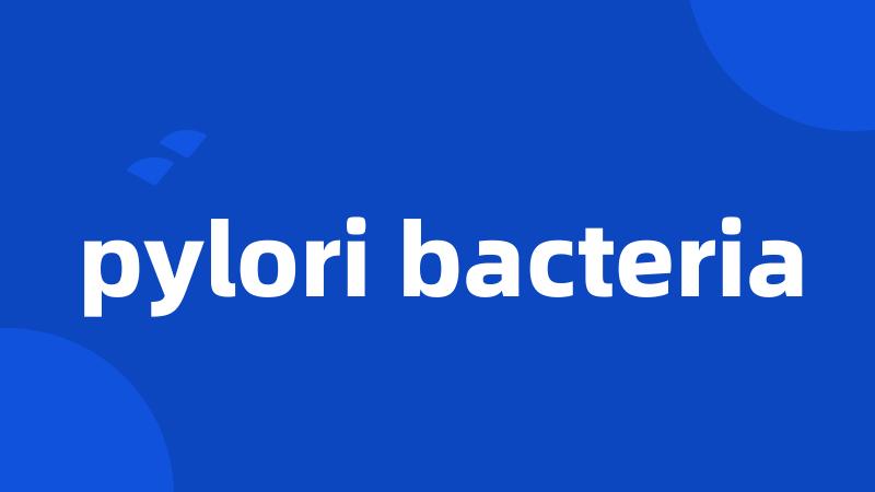 pylori bacteria