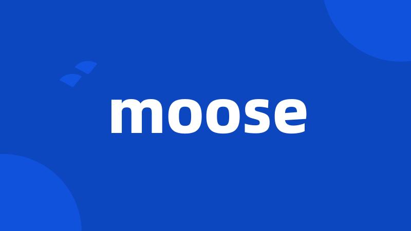 moose