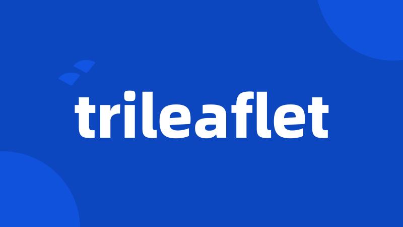 trileaflet