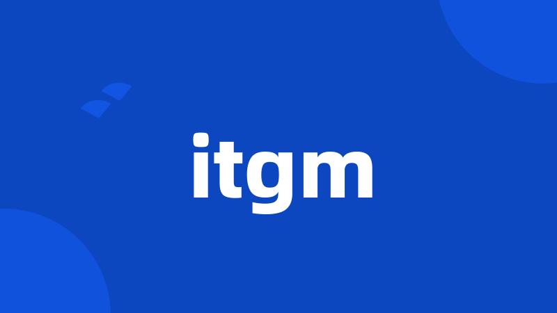 itgm