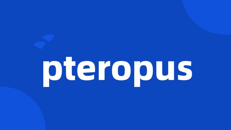 pteropus