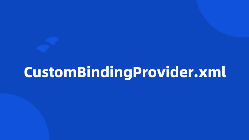 CustomBindingProvider.xml