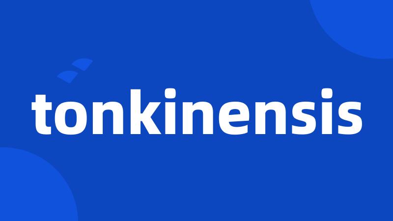 tonkinensis