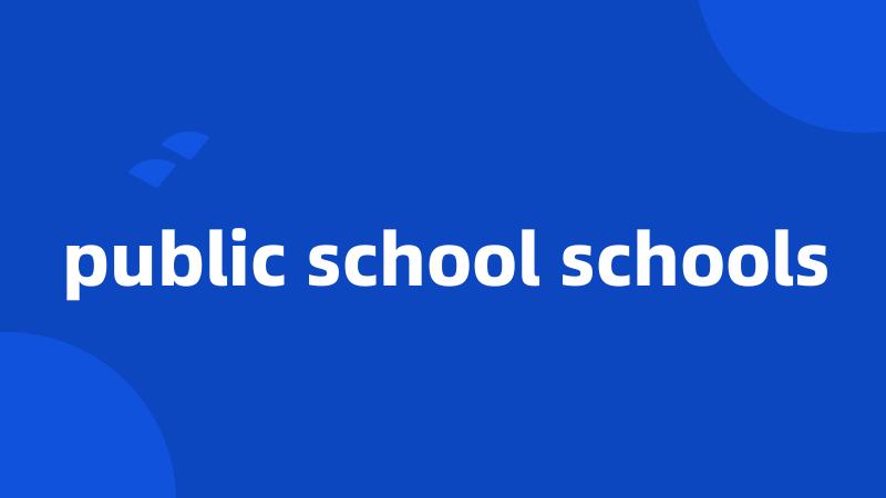 public school schools