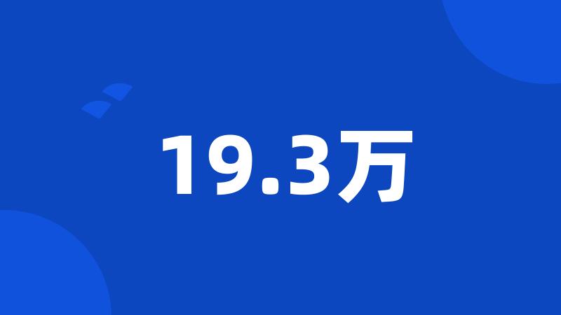 19.3万