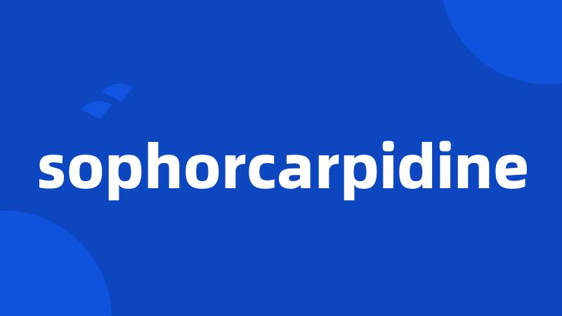 sophorcarpidine