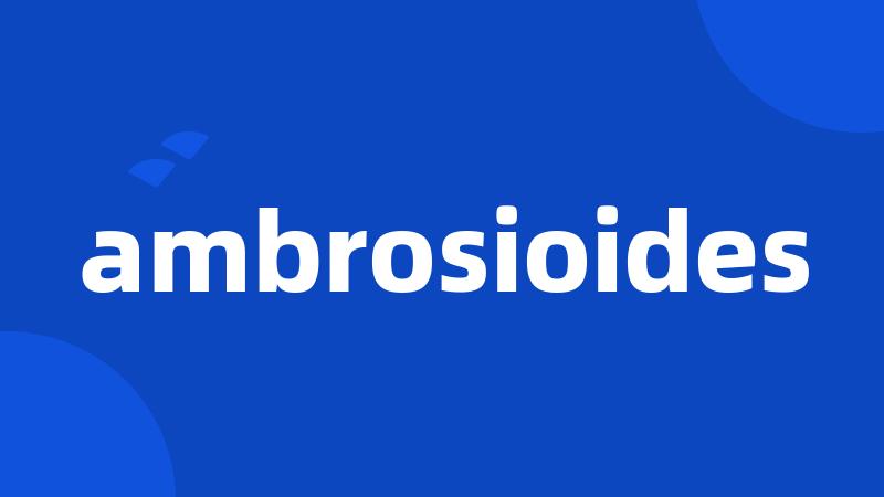 ambrosioides