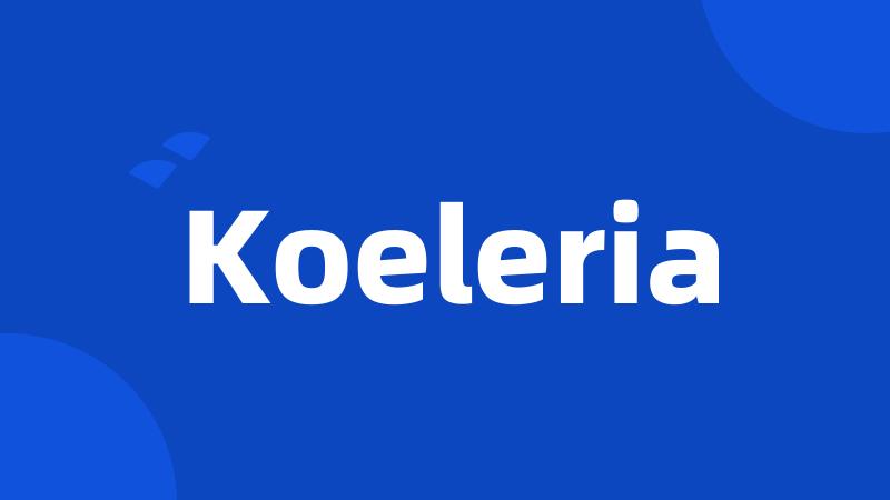 Koeleria