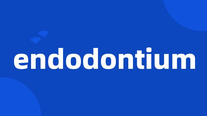 endodontium