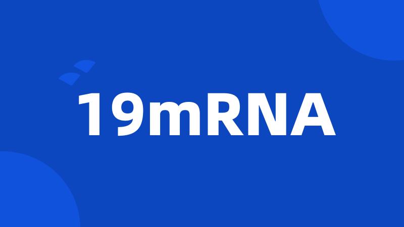 19mRNA