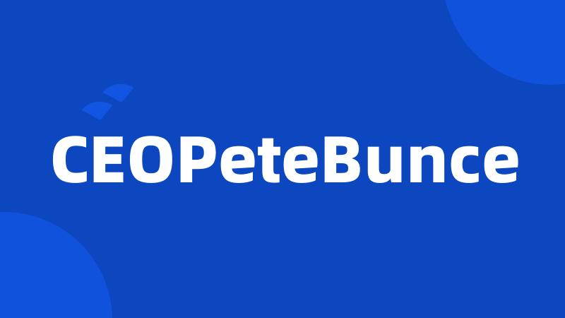 CEOPeteBunce