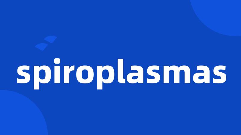 spiroplasmas