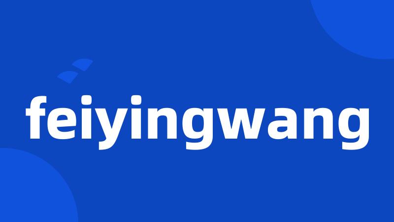 feiyingwang