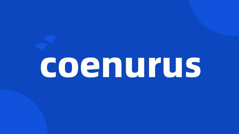 coenurus