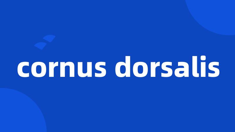 cornus dorsalis