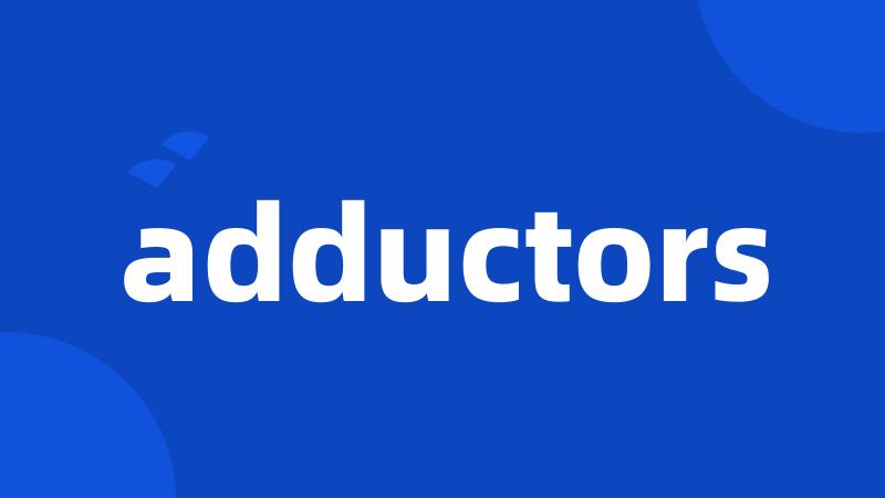 adductors