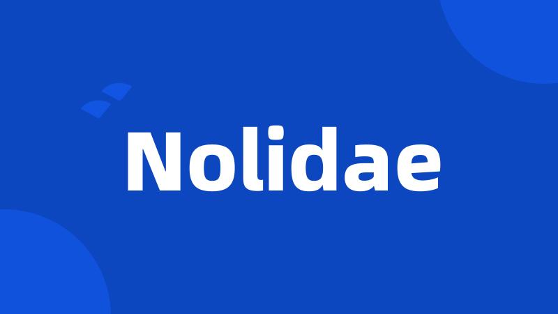 Nolidae