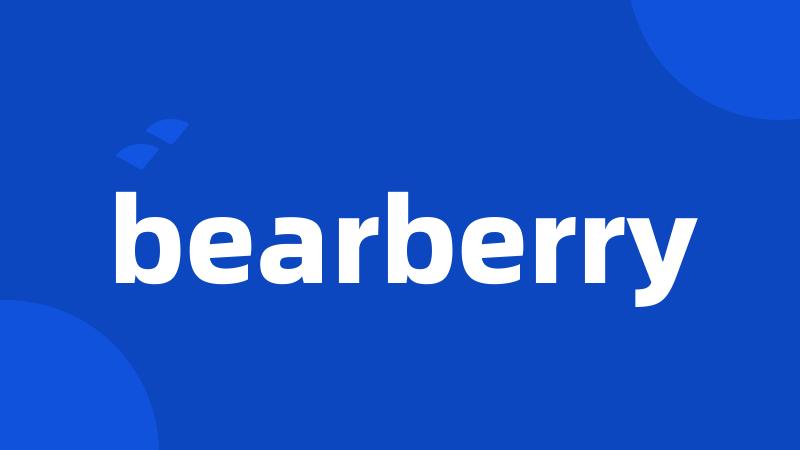 bearberry