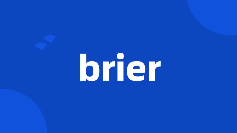 brier