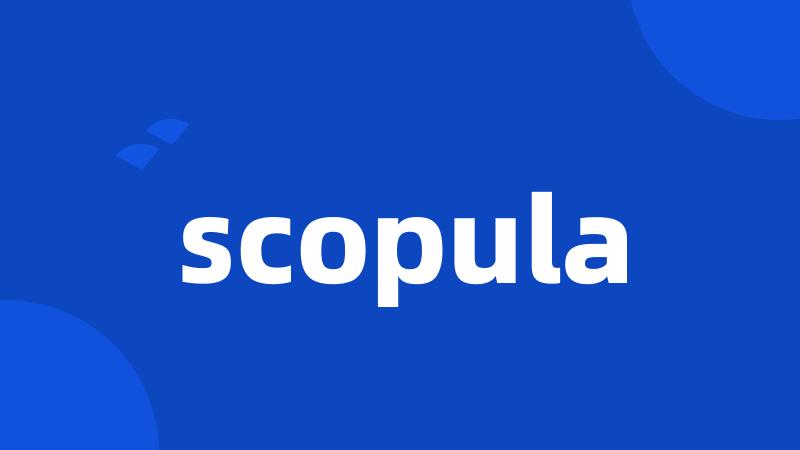 scopula