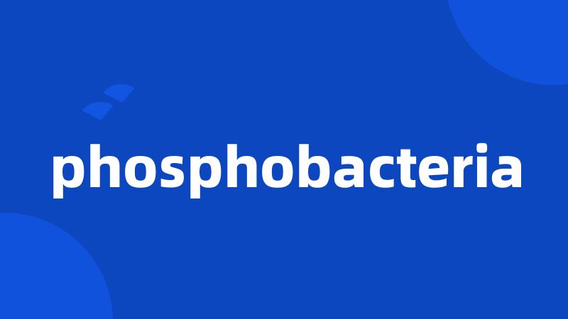 phosphobacteria