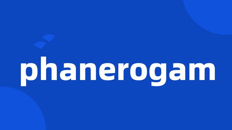 phanerogam