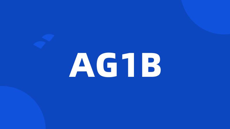 AG1B
