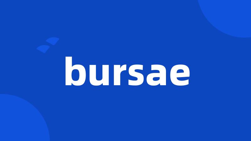 bursae