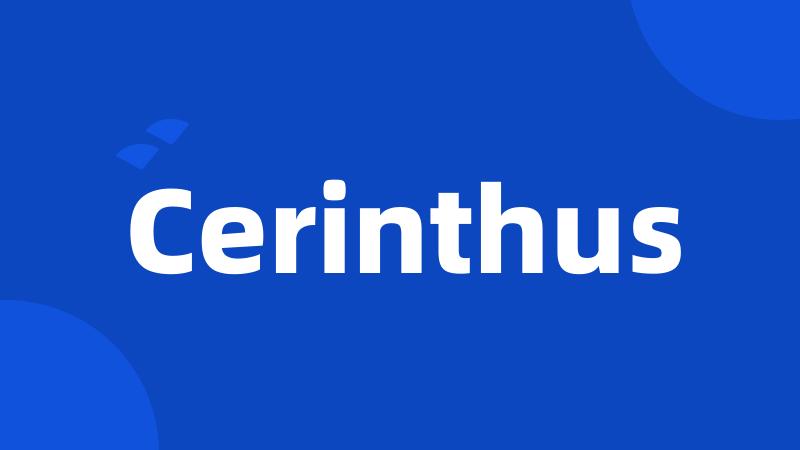 Cerinthus