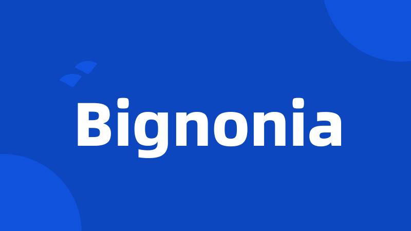 Bignonia