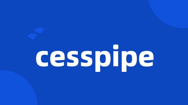 cesspipe