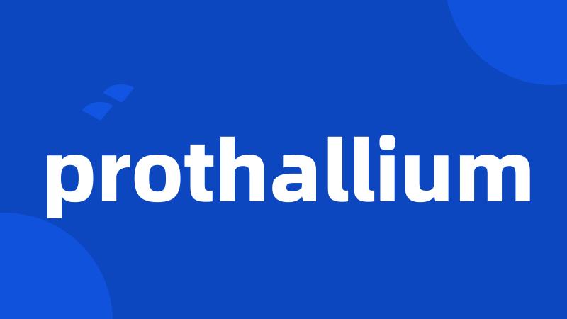 prothallium