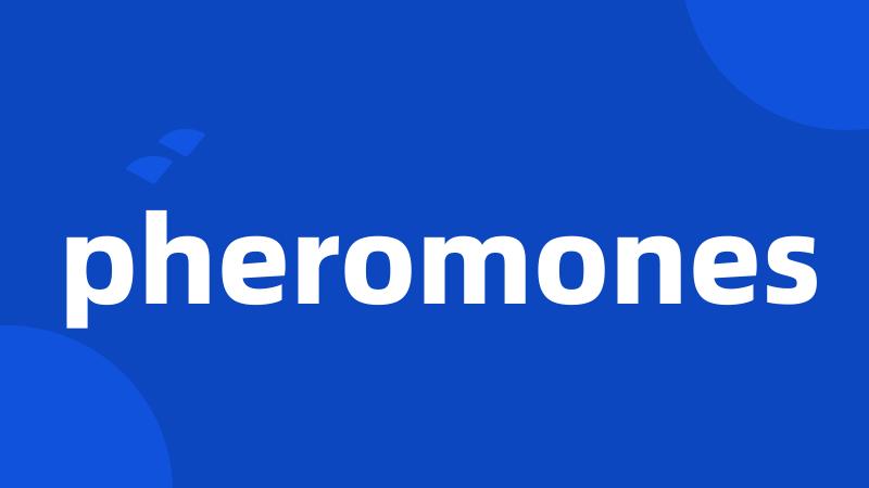 pheromones