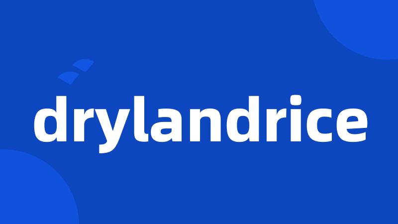 drylandrice