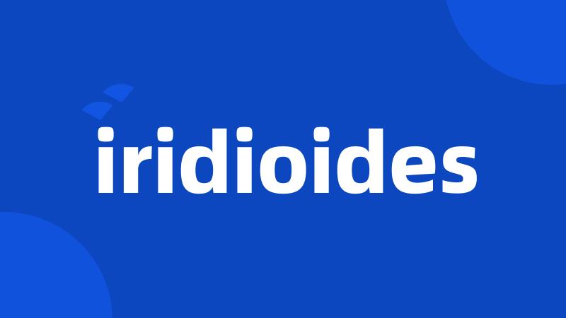 iridioides