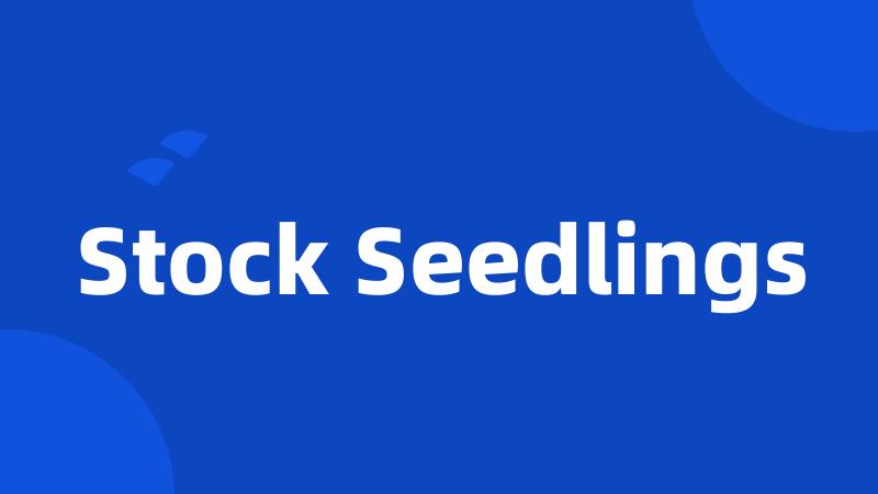 Stock Seedlings