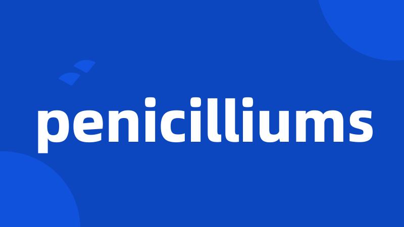 penicilliums