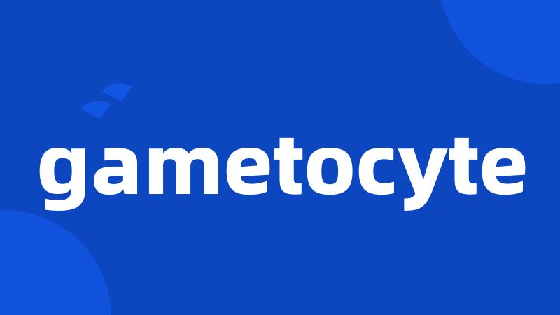 gametocyte