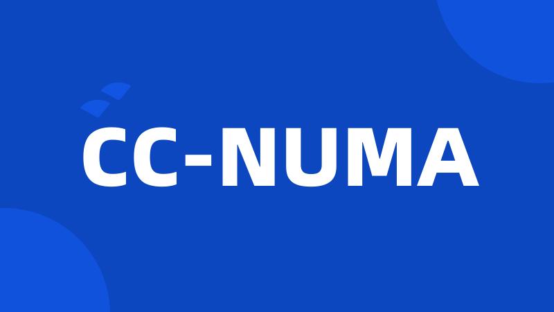 CC-NUMA