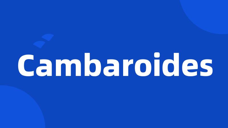 Cambaroides