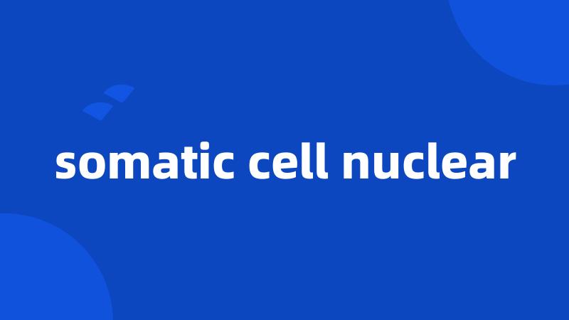 somatic cell nuclear