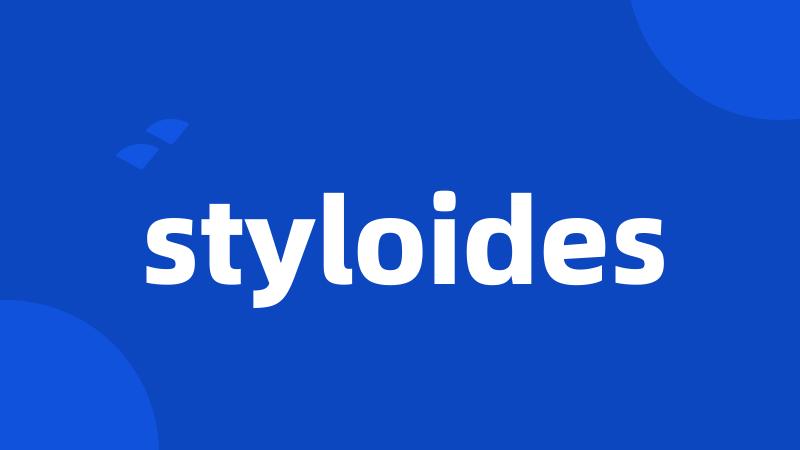 styloides