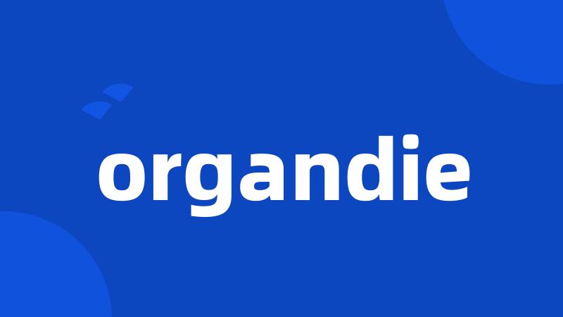 organdie