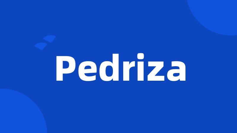 Pedriza